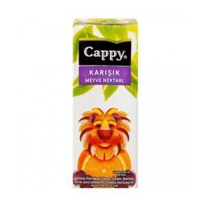 Meyve Suyu 1/5*27 Cappy
