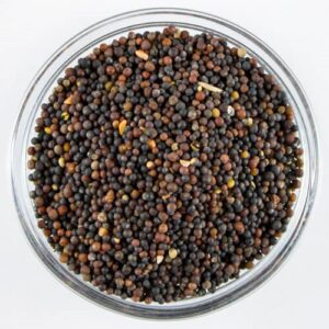 Kinoa Siyah 500g*12 Dimyat