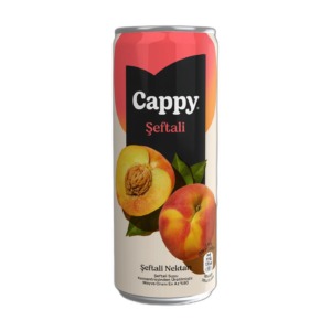Meyve Suyu 330 ML Kutu