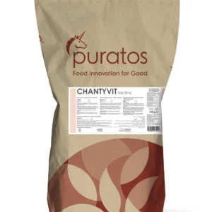 Chantyvit Toz Şanti 10 KG Puratos