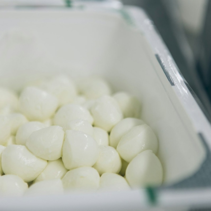 Tezgah üstünde taze mozzarella topları — mozzarella çeşitleri